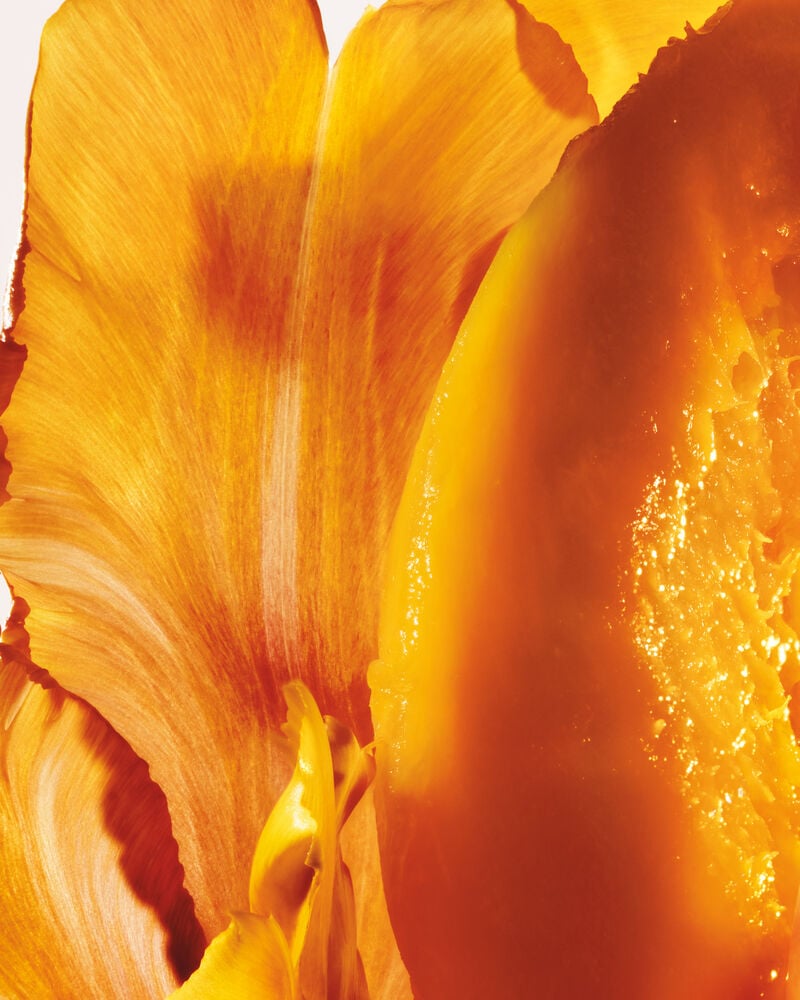 Solar and Floral Notes Perfume Essence